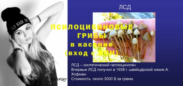spice Алзамай