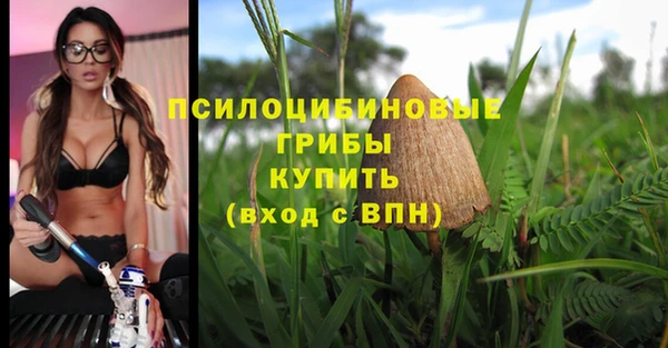 spice Алзамай
