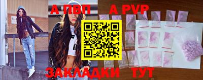 стаф Кинель