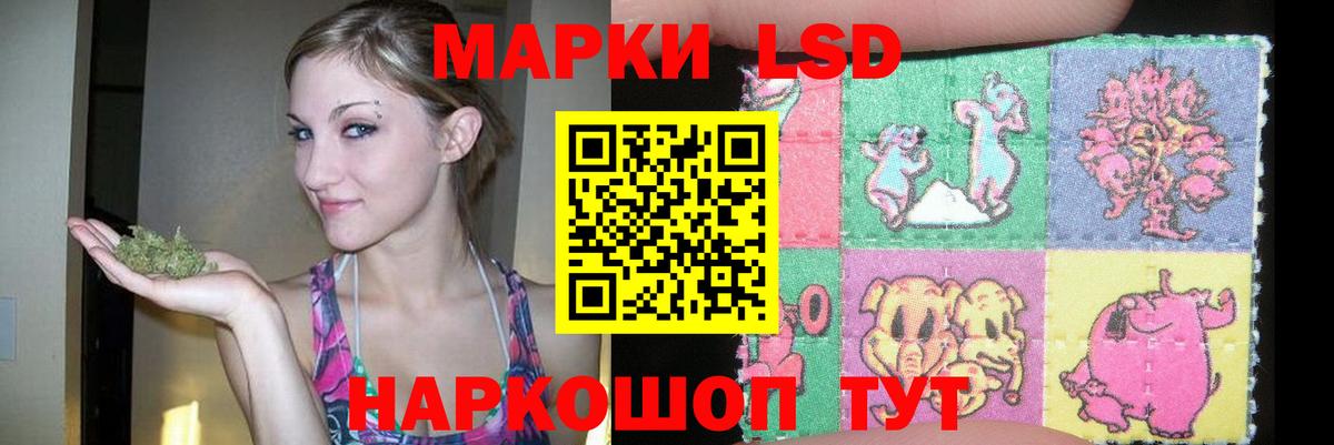 Йошкар-Ола  ЛСД экстази кислота  ЛСД экстази ecstasy  Вход с VPN 