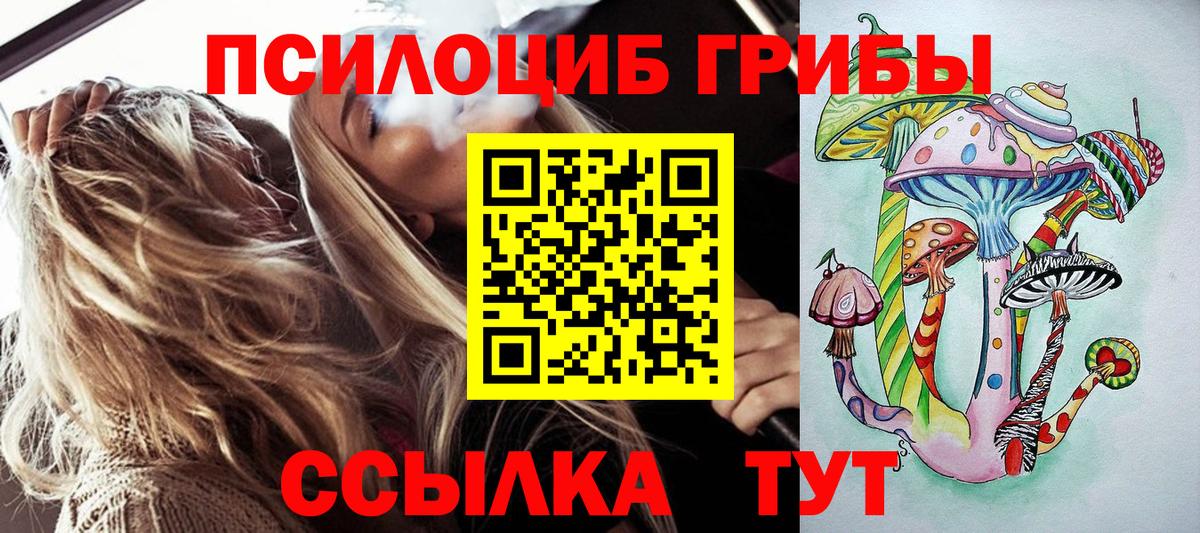 Галлюциногенные грибы прущие грибы Йошкар-Ола