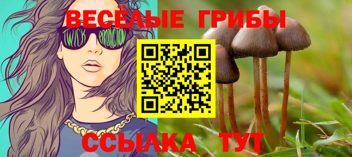 Галлюциногенные грибы Psilocybine cubensis  Вход с VPN  Псилоцибиновые грибы Cubensis  Йошкар-Ола 